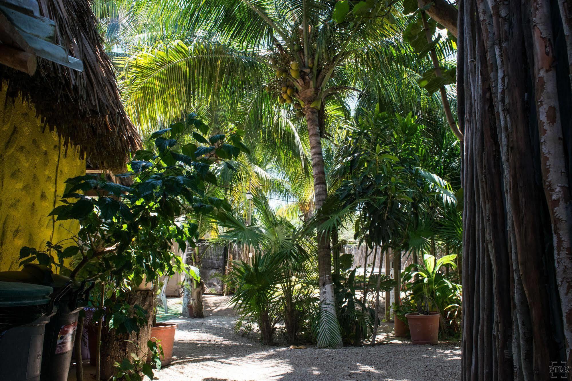 Casa Maya Holbox Eksteriør bilde
